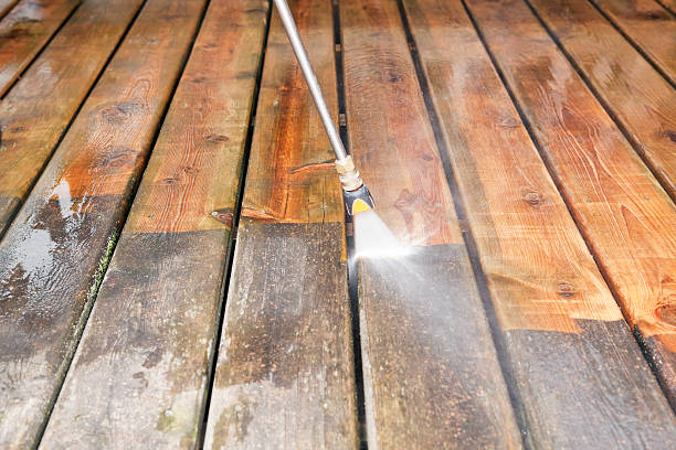 Animal Enclosure Cleaning in Butner, NC